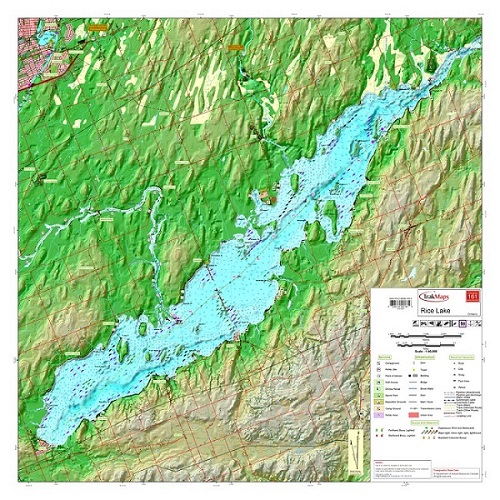 Rice Lake 161 Kawartha Region Waterproof Map From Trakmapscolour